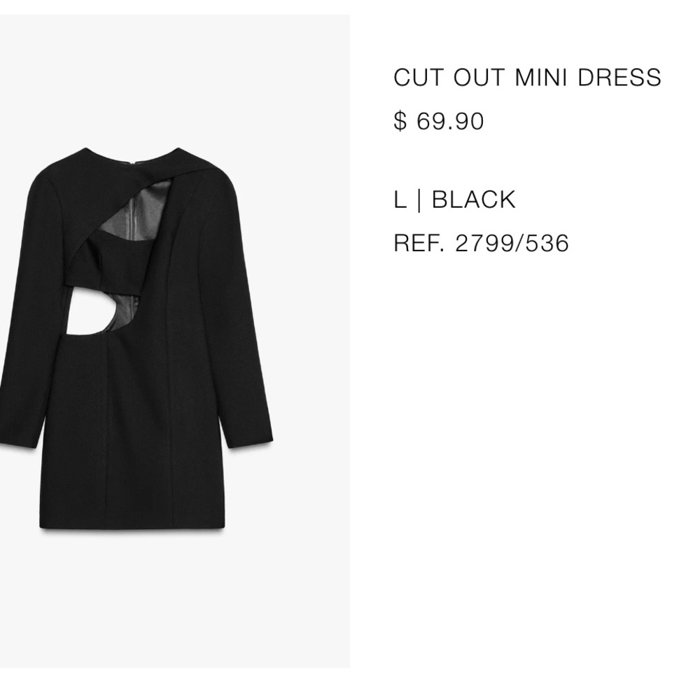 Zara Black Cut Out Mini Dress